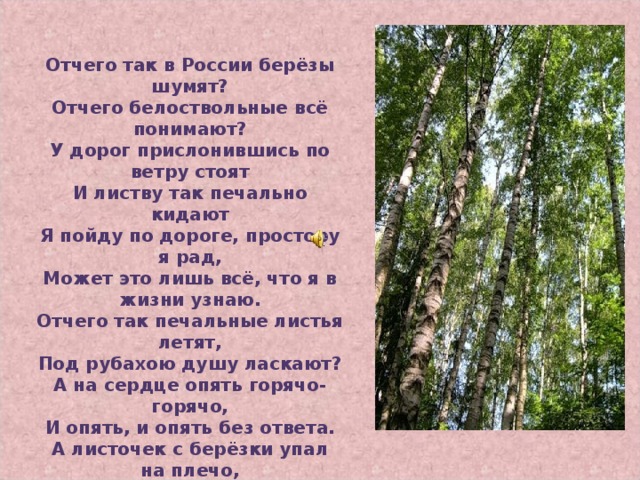 Отчего так в России берёзы шумят? Отчего белоствольные всё понимают? У дорог прислонившись по ветру стоят И листву так печально кидают Я пойду по дороге, простору я рад, Может это лишь всё, что я в жизни узнаю. Отчего так печальные листья летят, Под рубахою душу ласкают? А на сердце опять горячо-горячо, И опять, и опять без ответа. А листочек с берёзки упал на плечо, Он как я, оторвался от веток. Посидим на дорожку, родная, с тобой, Ты пойми, я вернусь, не печалься, не стоит. И старуха махнёт на прощанье рукой, И за мною калитку закроет.