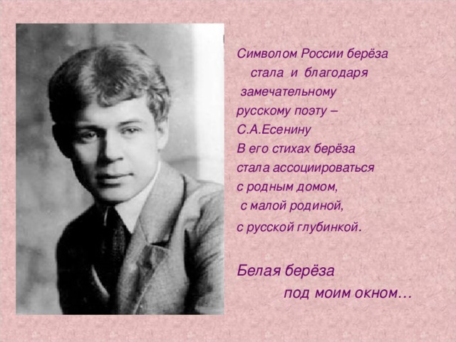 Символом России берёза  стала и благодаря  замечательному русскому поэту – С.А.Есенину В его стихах берёза стала ассоциироваться с родным домом,  с малой родиной, с русской глубинкой .  Белая берёза  под моим окном…