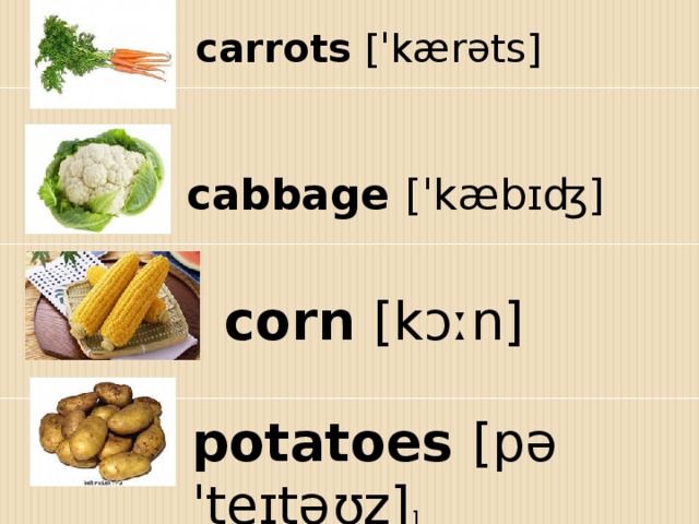 carrots  [ˈkærəts] cabbage  [ˈkæbɪʤ] corn  [kɔːn] potatoes  [pəˈteɪtəʊz] ]