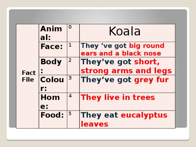 Fact File Animal: 0 Face: Koala 1 Body: They ‘ve got big round ears and a black nose 2 Colour: Home: They’ve got short, strong arms and legs 3 They’ve got grey fur 4 Food: They live in trees 5 They eat eucalyptus leaves