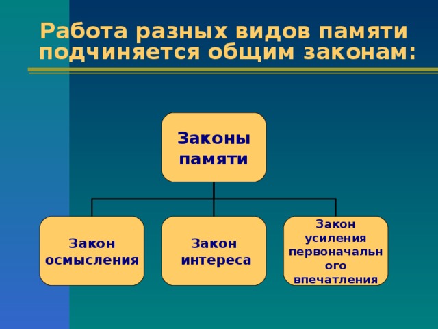 Работа разных видов памяти подчиняется общим законам: Законы памяти Закон осмысления Закон  интереса Закон усиления первоначального впечатления