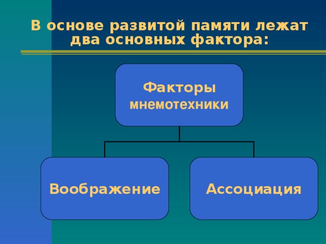 В основе развитой памяти лежат два основных фактора: Факторы мнемотехники Воображение Ассоциация