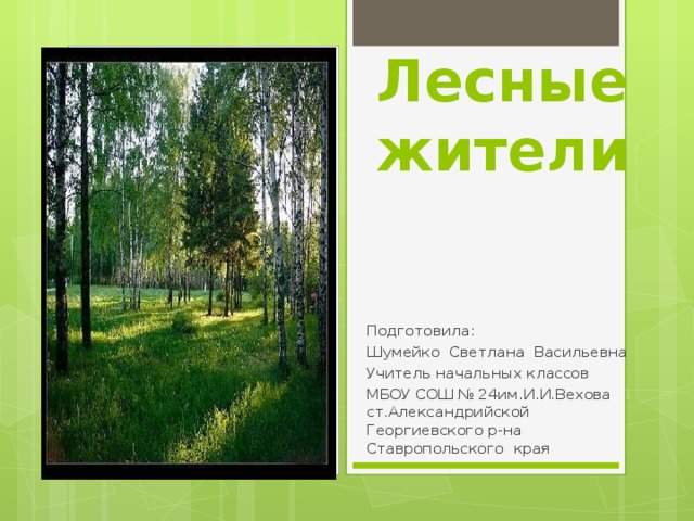 Лесные жители   Подготовила: Шумейко Светлана Васильевна Учитель начальных классов МБОУ СОШ № 24им.И.И.Вехова ст.Александрийской Георгиевского р-на Ставропольского края