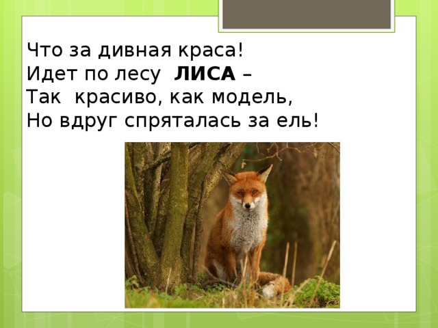 Что за дивная краса!  Идет по лесу ЛИСА –  Так красиво, как модель,  Но вдруг спряталась за ель!