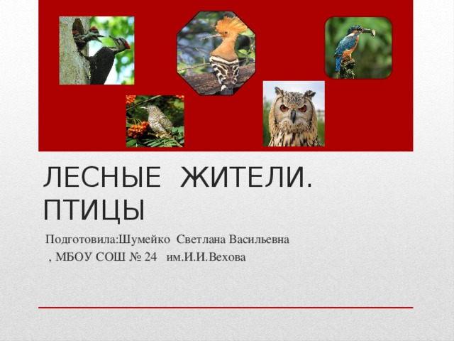 Лесные жители. Птицы Подготовила:Шумейко Светлана Васильевна  , МБОУ СОШ № 24 им.И.И.Вехова