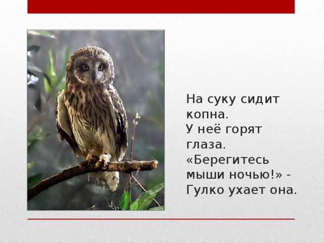 На суку сидит копна.  У неё горят глаза.  «Берегитесь мыши ночью!» -  Гулко ухает она.