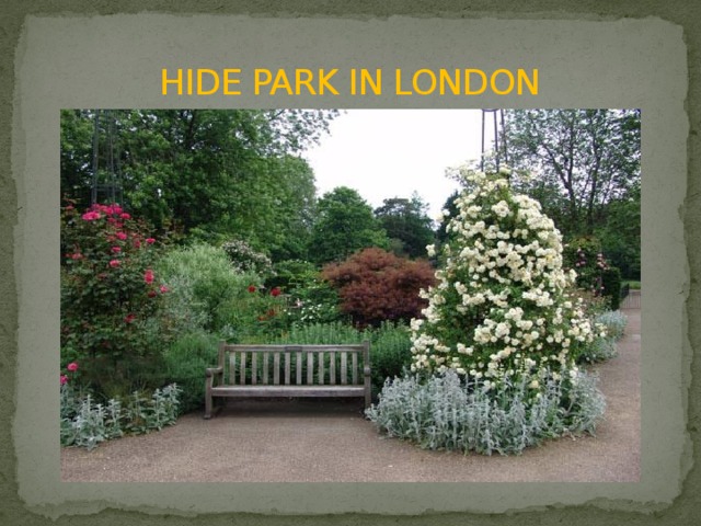 HIDE PARK IN LONDON