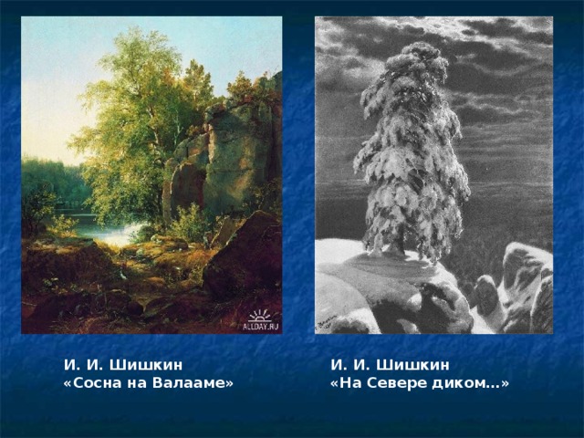 И. И. Шишкин «Сосна на Валааме» И. И. Шишкин «На Севере диком…»