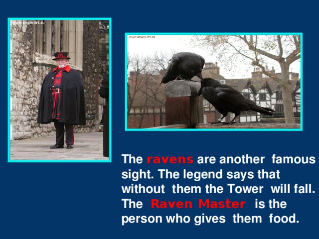 The ravens are another famous sight. The legend says that without them the Tower will fall. The Raven Master is the person who gives them food.