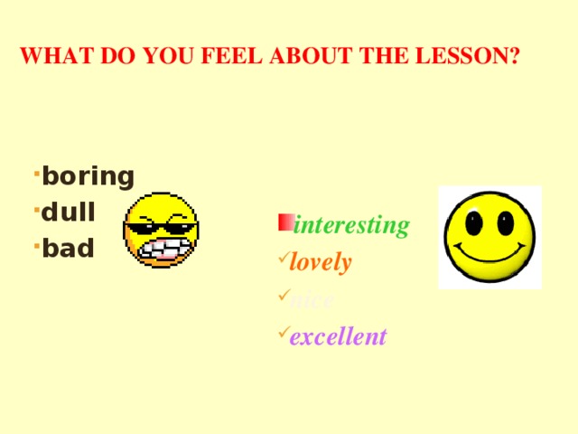 What do you feel about the lesson? boring dull bad    interesting lovely nice excellent