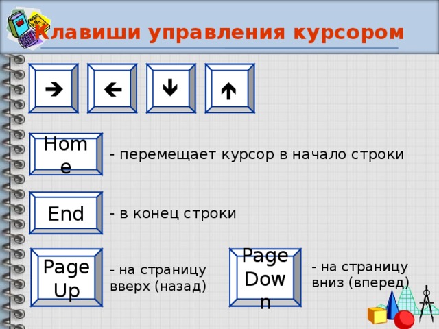 Клавиши управления курсором     Home - перемещает курсор в начало строки End - в конец строки Page Down Page Up - на страницу вниз (вперед) - на страницу вверх (назад)