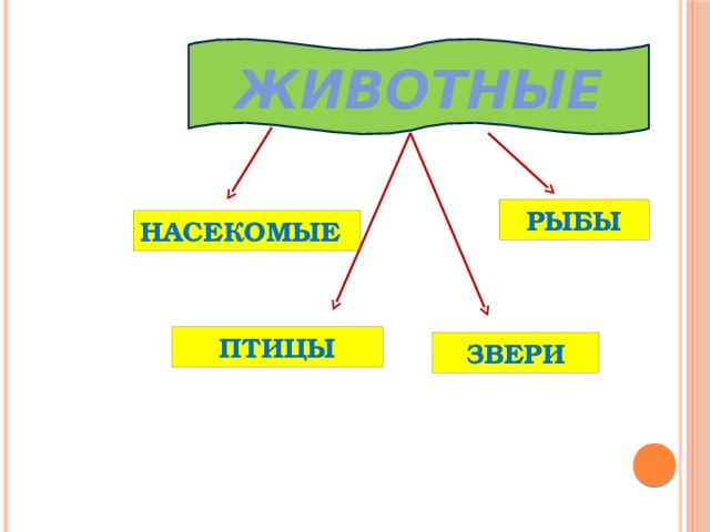 ЖИВОТНЫЕ РЫБЫ НАСЕКОМЫЕ ПТИЦЫ ЗВЕРИ