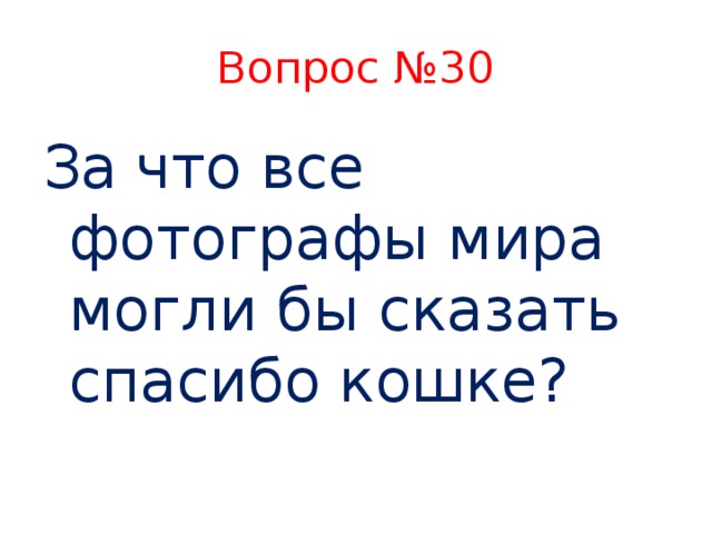 Вопрос №30 За что все фотографы мира могли бы сказать спасибо кошке?