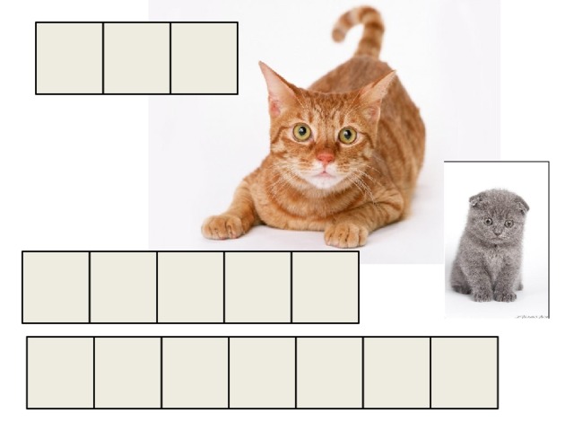 Звуко кота. Звуковой анализ слова кот. Картинка звуковой анализ кот. Кошка звуковая схема. Кот и кит звуковой анализ.