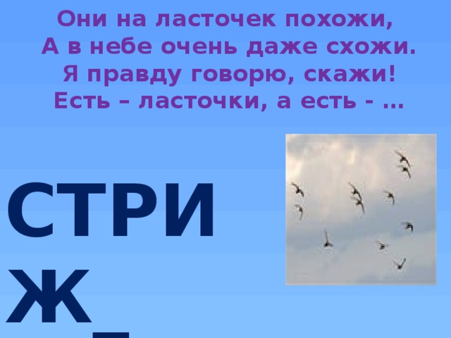 Они на ласточек похожи,  А в небе очень даже схожи.  Я правду говорю, скажи!  Есть – ласточки, а есть - … И СТРИЖ_