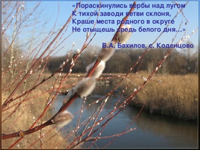 «Пораскинулись вербы над лугом К тихой заводи ветви склоня, Краше места родного в округе Не отыщешь средь белого дня…»   В.А. Бахилов, с. Коденцово