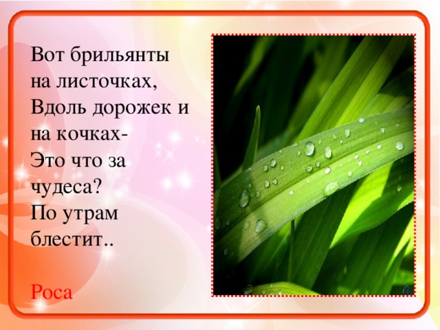 Вот брильянты на листочках, Вдоль дорожек и на кочках- Это что за чудеса? По утрам блестит.. Роса