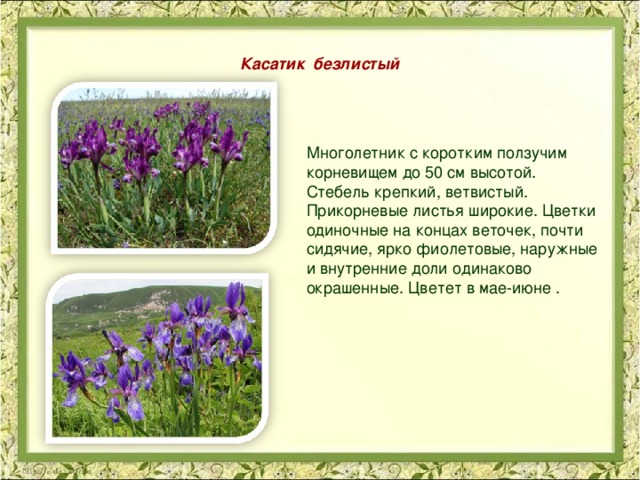 Красная книга ставропольского края животные и растения фото и описание