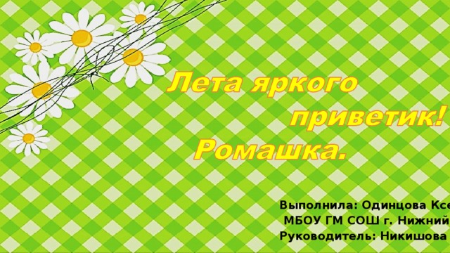 Выполнила: Одинцова Ксения  МБОУ ГМ СОШ г. Нижний Тагил Руководитель: Никишова Л. Е.