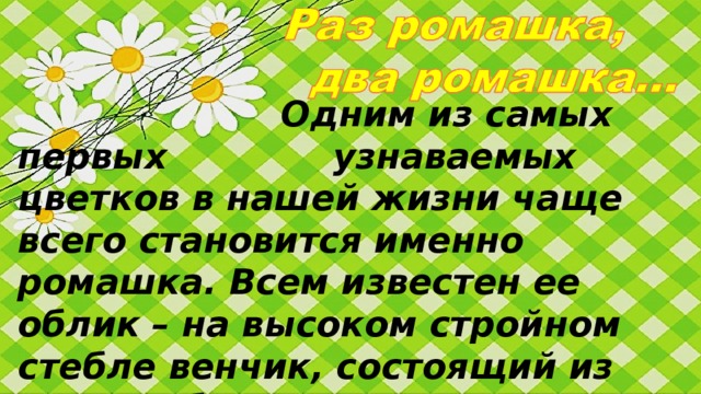 Одним из самых первых     узнаваемых цветков в нашей жизни чаще всего становится именно ромашка. Всем известен ее облик – на высоком стройном стебле венчик, состоящий из снежно белых лепестков, окружающих желтую серединку.