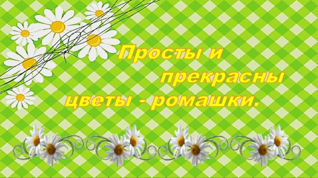 Видеть сон, в котором Вы     гадаете на ромашке, значит, что     Вы в один момент можете ис-      портить отношения, которые    строились очень долгое время. Если Вы сплели  венок из ромашек и носите его на голове, то на  самом деле Вас мало волнуют проблемы окружающих, поскольку Вы беспокоитесь лишь за собственное благополучие.