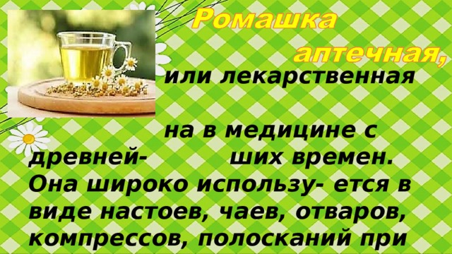 или лекарственная извест-     на в медицине с древней-   ших времен. Она широко использу-  ется в виде настоев, чаев, отваров, компрессов, полосканий при различных заболеваниях. Ромашку активно приме-няют в косметологии .