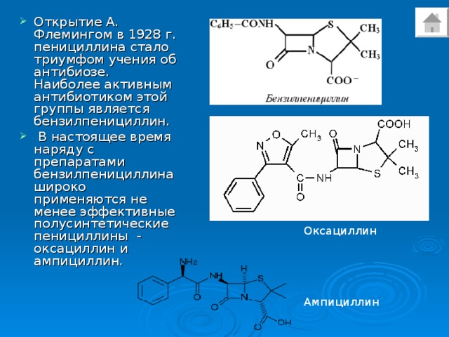 Открытие А. Флемингом в 1928 г. пенициллина стало триумфом учения об антибиозе. Наиболее активным антибиотиком этой группы является бензилпенициллин.  В настоящее время наряду с препаратами бензилпенициллина широко применяются не менее эффективные полусинтетические пенициллины - оксациллин и ампициллин.
