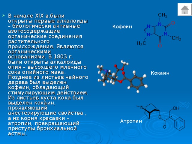 Группы БАВ алкалоиды окоиды. Alkaloid enstars.