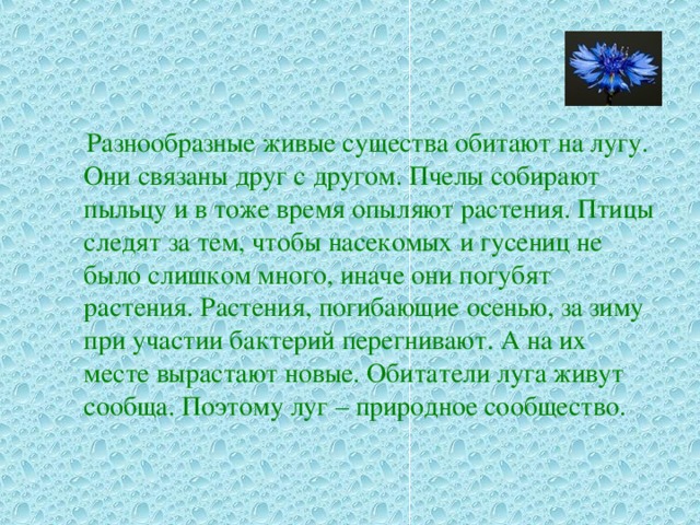 Разнообразные живые существа обитают на лугу. Они связаны друг с другом. Пчелы собирают пыльцу и в тоже время опыляют растения. Птицы следят за тем, чтобы насекомых и гусениц не было слишком много, иначе они погубят растения. Растения, погибающие осенью, за зиму при участии бактерий перегнивают. А на их месте вырастают новые. Обитатели луга живут сообща. Поэтому луг – природное сообщество.