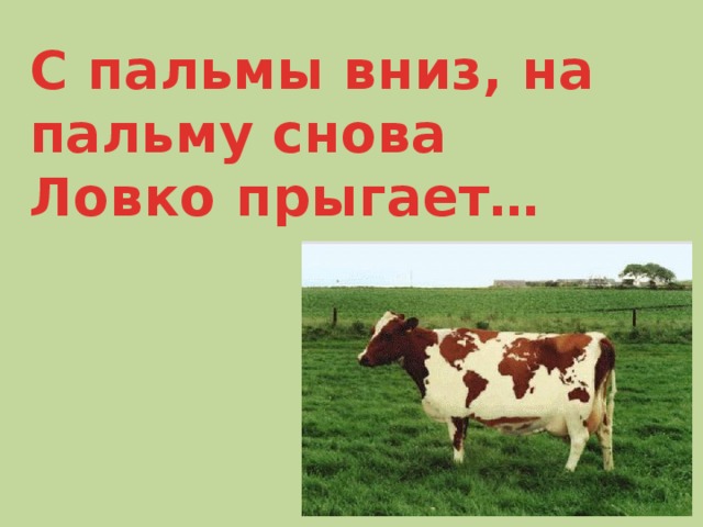 С пальмы вниз, на пальму снова Ловко прыгает…