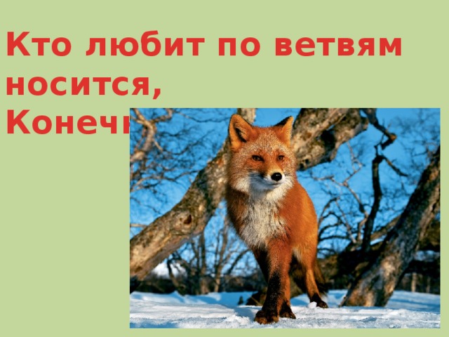 Кто любит по ветвям носится, Конечно, рыжая…