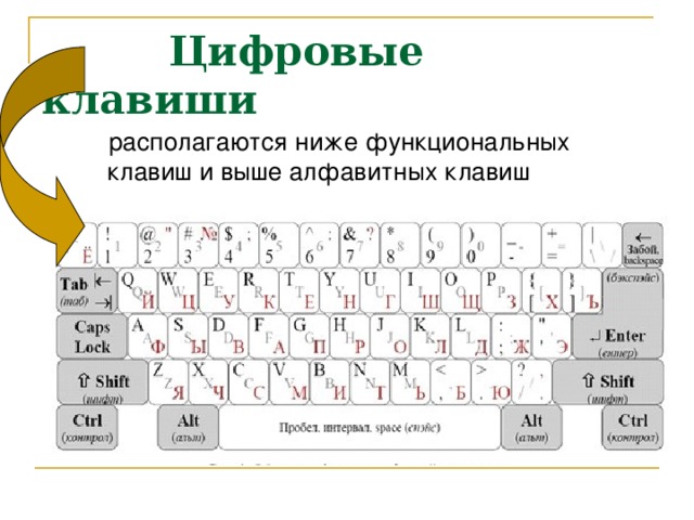Цифровые клавиши  располагаются ниже функциональных клавиш и выше алфавитных клавиш