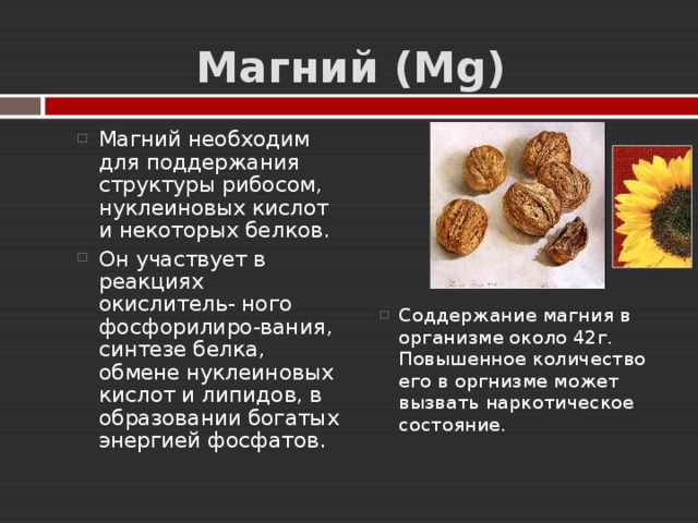 Магний ( Mg )