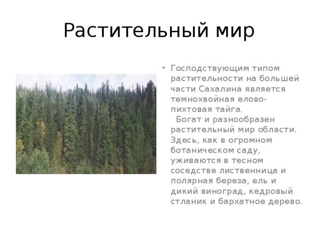 Растительный мир