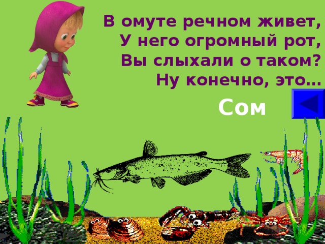 В омуте речном живет,  У него огромный рот,  Вы слыхали о таком?  Ну конечно, это…   Сом