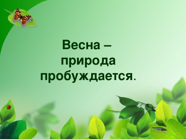 Весна –  природа пробуждается .