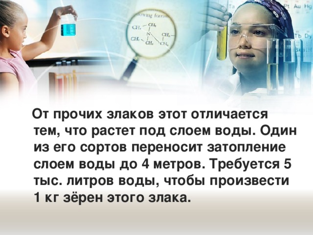 От прочих злаков этот отличается тем, что растет под слоем воды. Один из его сортов переносит затопление слоем воды до 4 метров. Требуется 5 тыс. литров воды, чтобы произвести 1 кг зёрен этого злака.