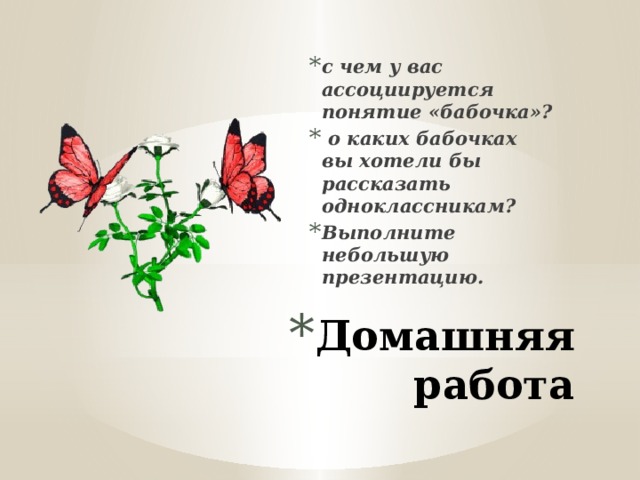 с чем у вас ассоциируется понятие «бабочка»?  о каких бабочках вы хотели бы рассказать одноклассникам? Выполните небольшую презентацию. Домашняя работа