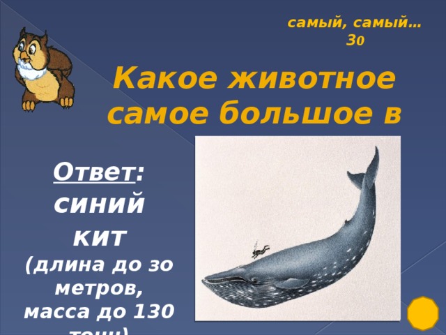 самый, самый… 3 0 Какое животное самое большое в мире? Ответ : синий кит (длина до зо метров, масса до 130 тонн)