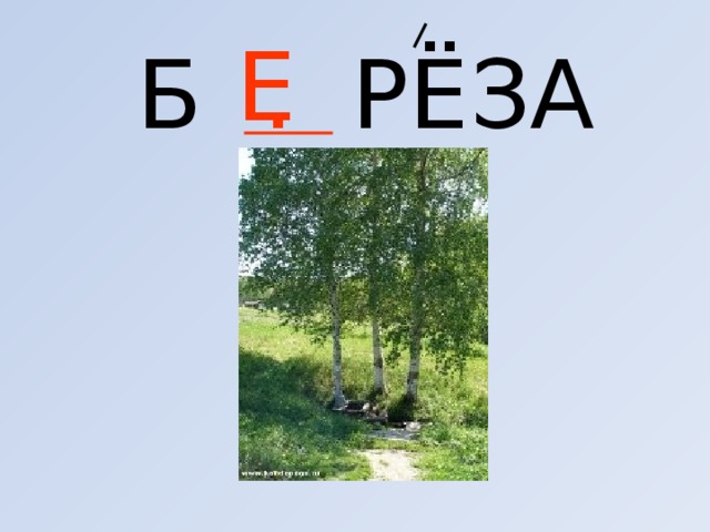 Б . РЁЗА  Е