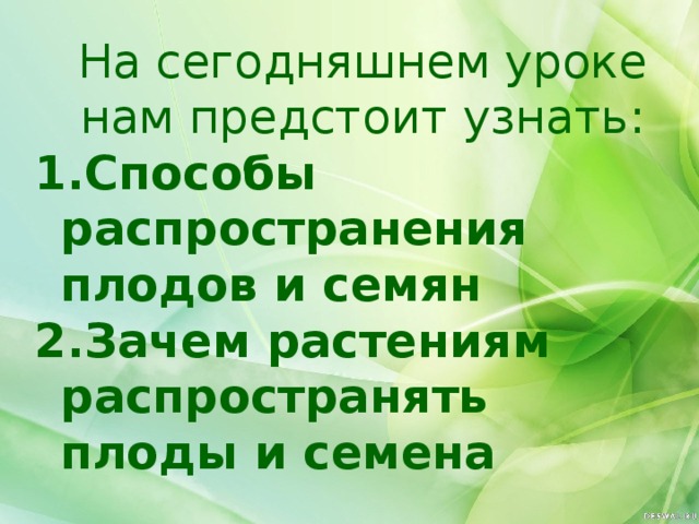 На сегодняшнем уроке нам предстоит узнать: