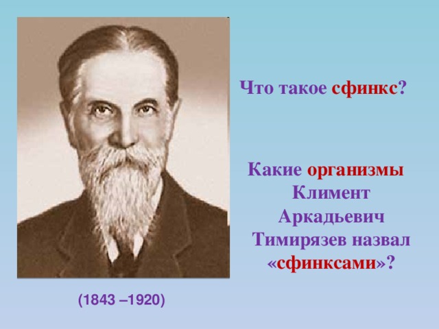 Что такое сфинкс ?    Какие организмы Климент Аркадьевич Тимирязев назвал « сфинксами »? (1843 –1920)