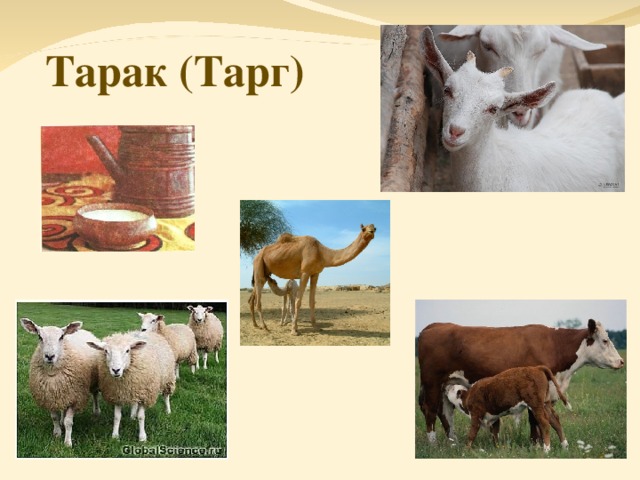 Тарак (Тарг)