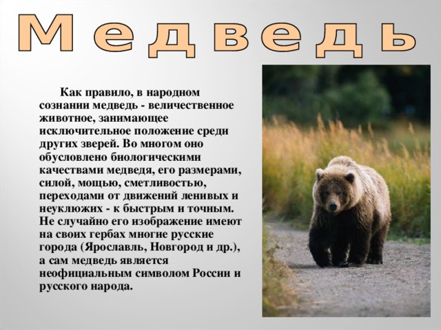Как правило, в народном сознании медведь - величественное животное, занимающее исключительное положение среди других зверей. Во многом оно обусловлено биологическими качествами медведя, его размерами, силой, мощью, сметливостью, переходами от движений ленивых и неуклюжих - к быстрым и точным. Не случайно его изображение имеют на своих гербах многие русские города (Ярославль, Новгород и др.), а сам медведь является неофициальным символом России и русского народа.