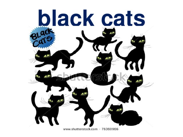 black cats