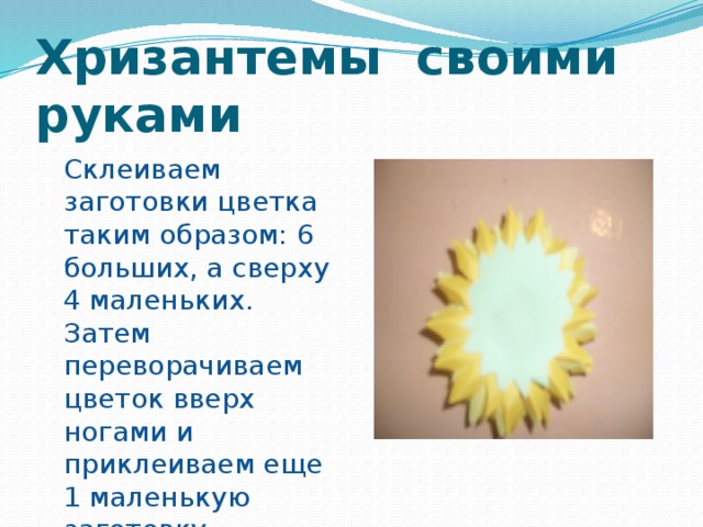 Хризантемы своими руками  Склеиваем заготовки цветка таким образом: 6 больших, а сверху 4 маленьких. Затем переворачиваем цветок вверх ногами и приклеиваем еще 1 маленькую заготовку зеленого цвета