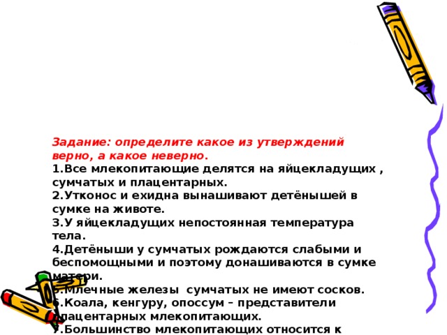 Задание: определите какое из утверждений верно, а какое неверно.  1.Все млекопитающие делятся на яйцекладущих , сумчатых и плацентарных.  2.Утконос и ехидна вынашивают детёнышей в сумке на животе.  3.У яйцекладущих непостоянная температура тела.  4.Детёныши у сумчатых рождаются слабыми и беспомощными и поэтому донашиваются в сумке матери.  5.Млечные железы сумчатых не имеют сосков.  6.Коала, кенгуру, опоссум – представители плацентарных млекопитающих.  7.Большинство млекопитающих относится к плацентарным.  8.У плацентарных зародыш развивается в матке и соединяется с телом матери плацентой.  9.У плацентарных не развиты млечные железы.  10. Плацентарные имеют постоянную температуру тела.