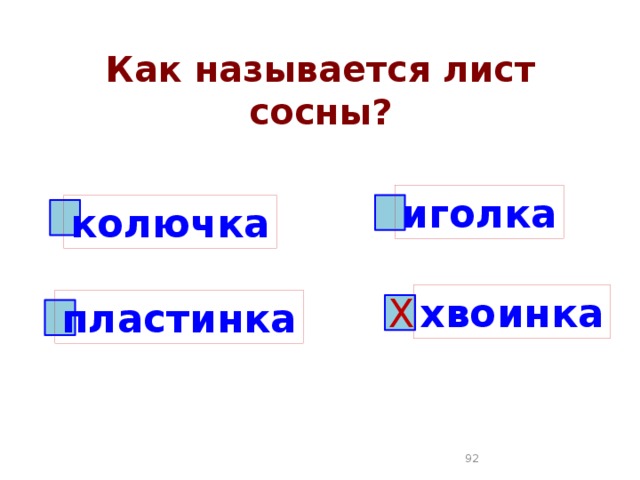 Как называется лист сосны? иголка колючка хвоинка Х пластинка