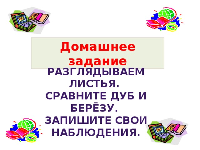 Домашнее задание Разглядываем листья. Сравните дуб и берёзу. Запишите свои наблюдения.