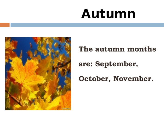 Autumn  The autumn months are: September, October, November.